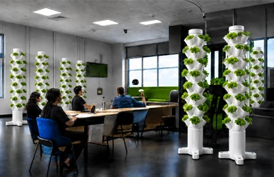 Cultivo vertical PLANNTA em uma empresa