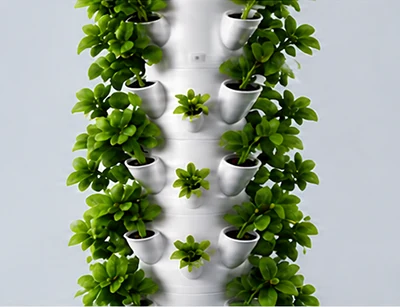 Desenvolvimento das plantas no sistema